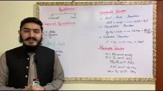 Chemical Equilibrium 03 | Graphical Representation of Dynamic Equilibrium |