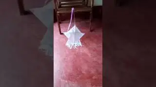 peacock kite 😎😍