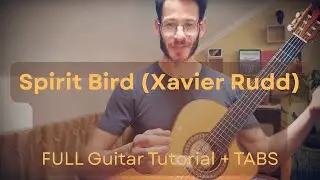 Spirit Bird (Xavier Rudd) | 2025 NEW Guitar Tutorial | Fingerpicking Guitar Tutorial