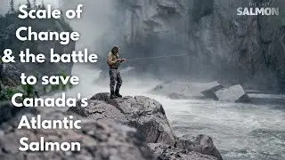 Scale of Change & the Battle to Save Canada's Atlantic Salmon