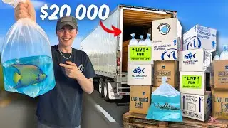 $20,000 EXOTIC SALTWATER FISH UNBOXING!! (INSANE)