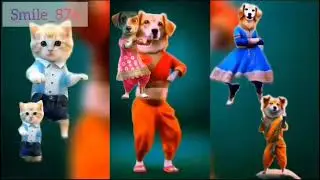 Cute dog funny dance 😍🥰😍 Whatsapp status video 📷 Amazing dog dance Funny dance 😍🥰 #dog#cartoon