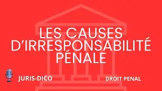 Les causes d'irresponsabilité pénale  [Droit Pénal]