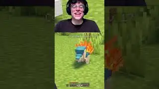 Синдаквил и Фроки😒 #minecraft #minecraftmemes #pokemon #cobblemon #pixelmon