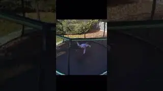 I had a dream. #flyaway #gymnastics #homegymnastics #trampoline #vaultdrills #alaynasewell
