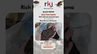 Are  you Looking for organic quality Black pepper spice at wholesale price?