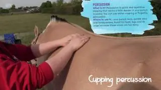 How to give your pony a massage | PONY mag