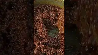 ഉലുവ ലേഹ്യം വീട്ടിൽ ഉണ്ടാക്കാം  #shorts #short #shortvideo #shortsvideo