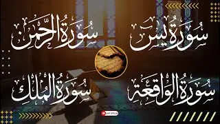 🔴LIVE | Surah Yasin | Surah Raman | Surah Waqiah | Surah Mulk | QAF Official | Episode 197