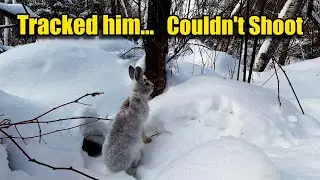 Grouse & Hare Tracking - I Let Him Live