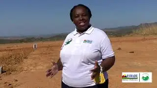 Chiefdom Development at Ngobolweni