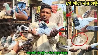চন্দ্রাকানি রামপুরি ও শাক সবুজ কবুতর | গোপাল দার লফ্ট