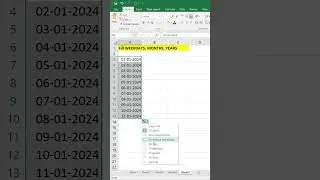 सप्ताह के दिनों को Auto Fill Options का उपयोग करके भरें II #exceledhub #exceltipsandtricks