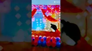 Elegant Stage Decoration | Event Highlight |  Setup 2025#sorts