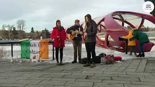 Live Irish Music