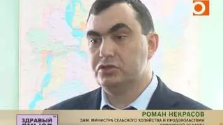 Брошены до лучших времен. В землю зарыты очередные миллионы - теперь в Хворостянке.
