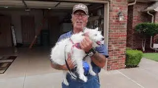 Best Termite Inspector in Oklahoma City K 9 Termite Finders