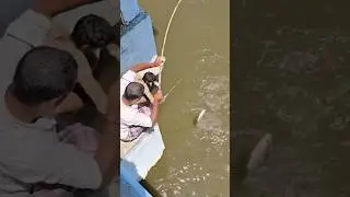 Ep28 fight for fish#fishingtechniques #fish #hunting #fighting #funny #riverfishing