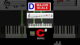 D Major Scale piano || Fingering 1 Octave, || easy #piano #pianotutorial #pianoscales ||