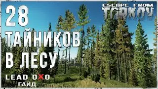 Тарков гайд - Тайники на карте Лес. Свежий гайд на 35 тайников в описании