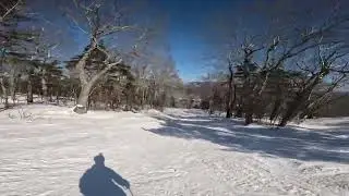 Camden Snow Bowl-Lookout (Black)