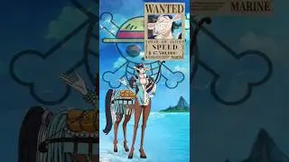 Wellerman Bounty &bull;|&bull; Every Pirate Artificial Zoan Type Devil Fruit Users ( Part 5 ) 👒#onepiece #edit