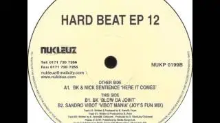 Sandro Vibot - Vibot Mania (Joy's Fun Mix)
