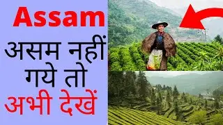 Tourist Places In Assam (2020) Top Tourist Places In Assam