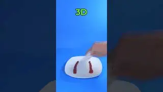 3D-печатная губка против настоящей