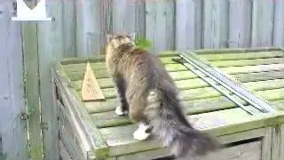 Diva is het schrikdraad nog niet vergeten