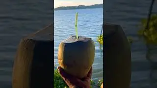 Dipor Bil Or Deepor Beel Guwahati Assam | Guwahati's Best Tourist Place #ytshorts #viralshort #Assam