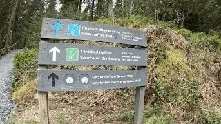 Source of the Severn Trail | Hafren Forest Hike