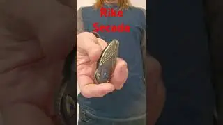 Daily Pocket Check 303 Rike Cicada