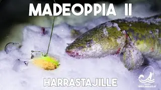 Madeoppia II - Harrastajille