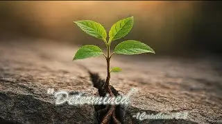1/25/26 - Sun AM - Pastor Pittman