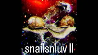 snailsnluv II // snailsnluv [Full Album]