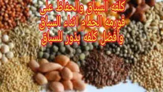 أعرف كلفه السباق مفاجأة؟ دخول الحمام فورمه سباق نظام غذائي هيكسبك السباق مع الأوائل