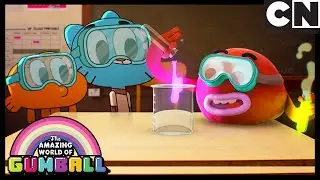El Craneo | El Increíble Mundo de Gumball en Español Latino | Cartoon Network