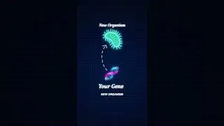 Put Your Gene in a New Organism #shorts #science