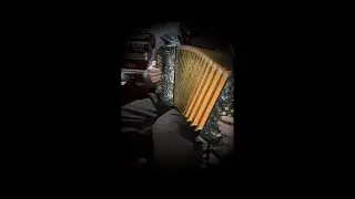 (VENDIDA)  HOHNER CLUB II B 8 baixos C/F Diat&ocirc;nica
