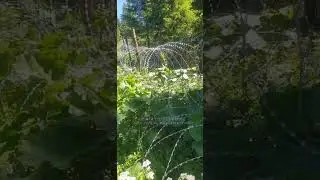 Ukrainian draft evaders (ukhilyanty) escaping over the border to Europe