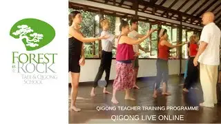 Qigong Teacher Training programme