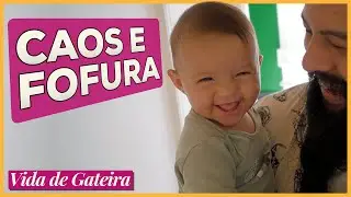 Caos e Fofura | Vida de Gateira #30