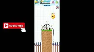 Save the Puppy Pet Dog Rescue Level 173