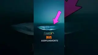 If you ever think riding a whale sounds fake, think again
