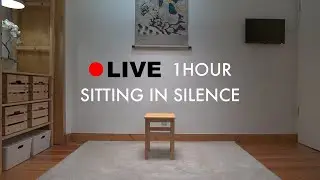1h Live Practicing Silence | No. 352 | Background Noise | No Music