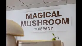 Magical Mushroom Company - a Surrey Success Story