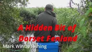 A Hidden Bit of Dorset Fenland