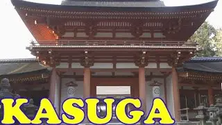 Kasuga Taisha Shrine, Nara - 春日大社 - Japan As It Truly Is