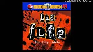 Dj Shakka - The Flip Riddim Mix - 2002